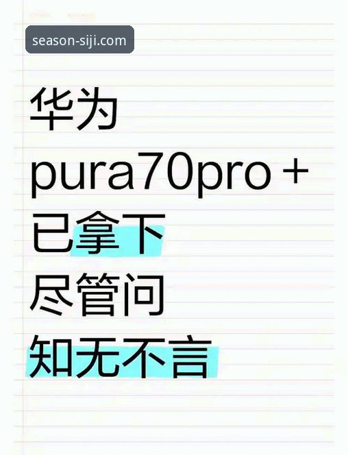 四季体育用户评价 四季网站官方用户评价全面解析:从新手视角看平台真实体验