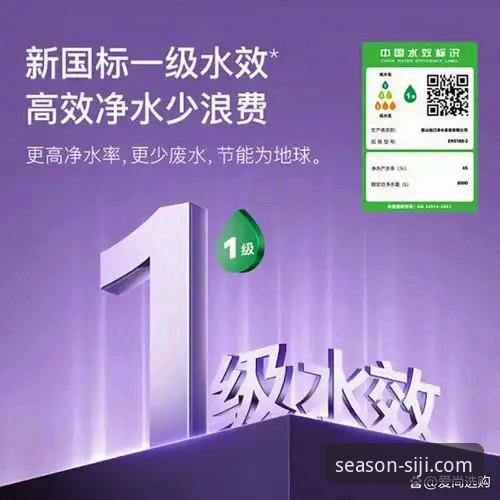 四季体育官方网站 vs 其他平台：一个老用户的深度体验与选择指南