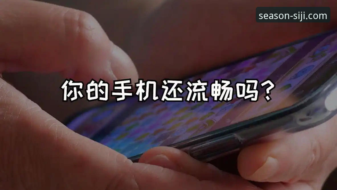 揭秘四季体育直播卡顿背后的真相：从技术瓶颈到流畅体验的终极指南